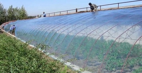 大棚吹膜用哪種增白劑？